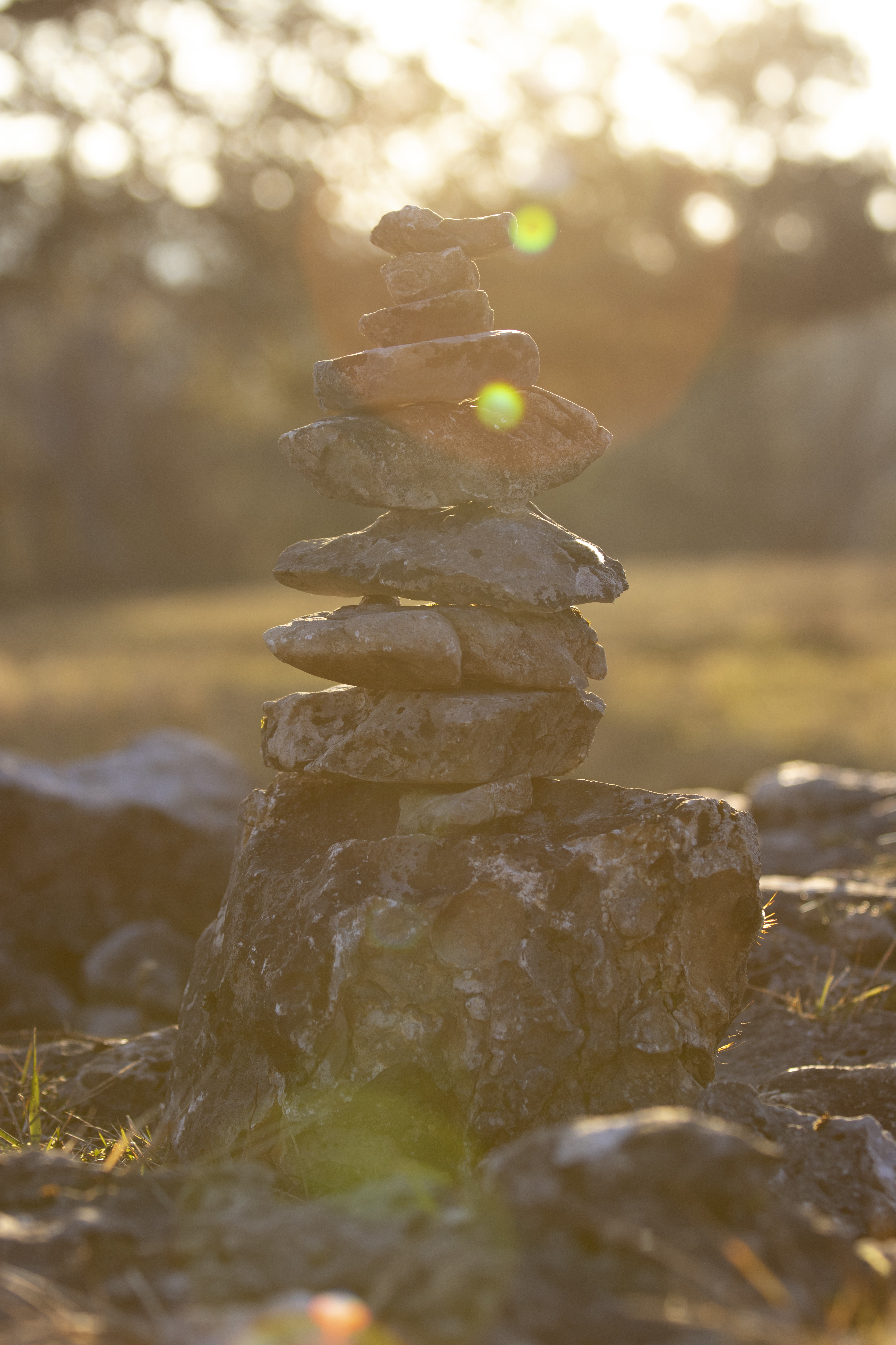 Réalisation photographique 14