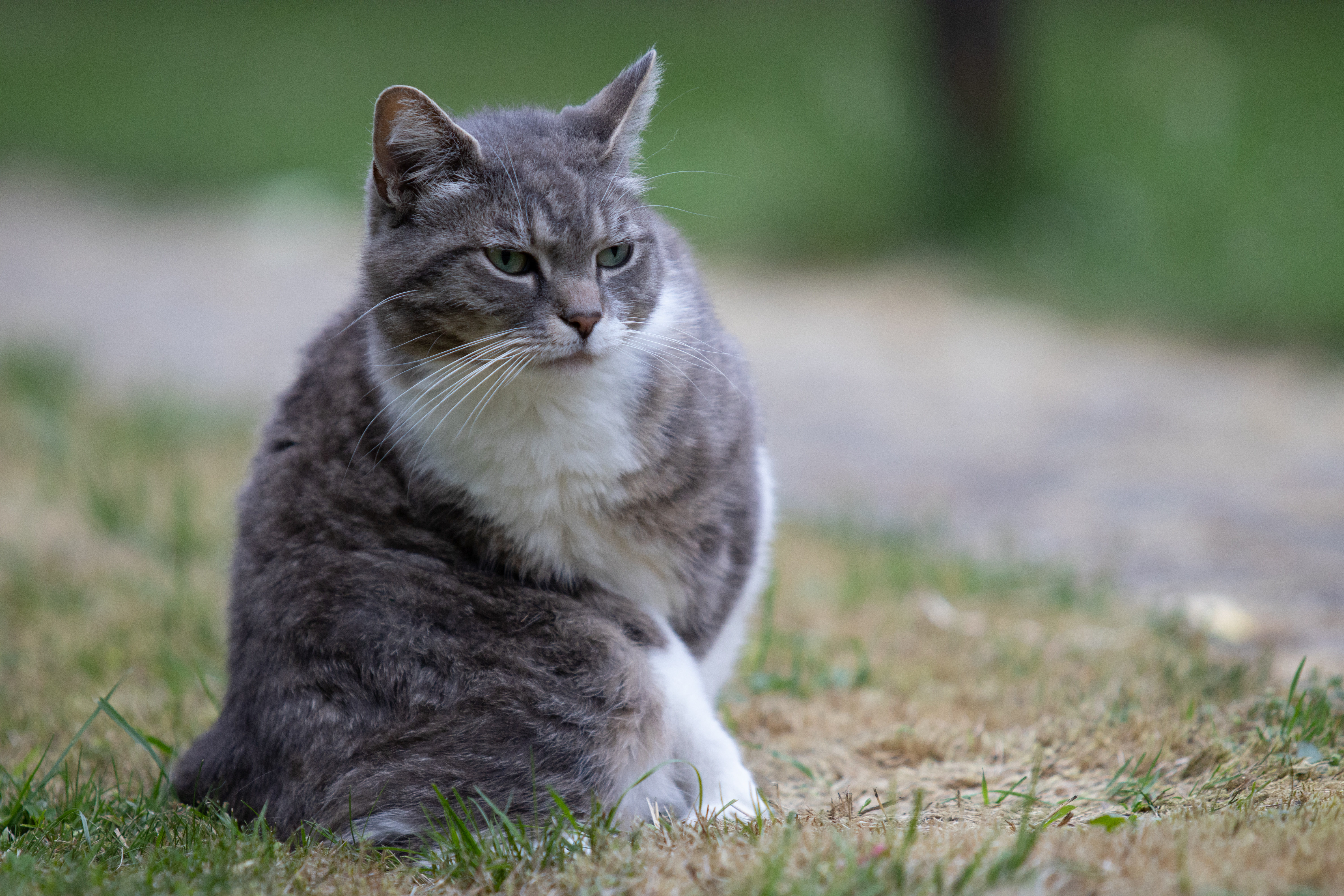 Réalisation photographique 15