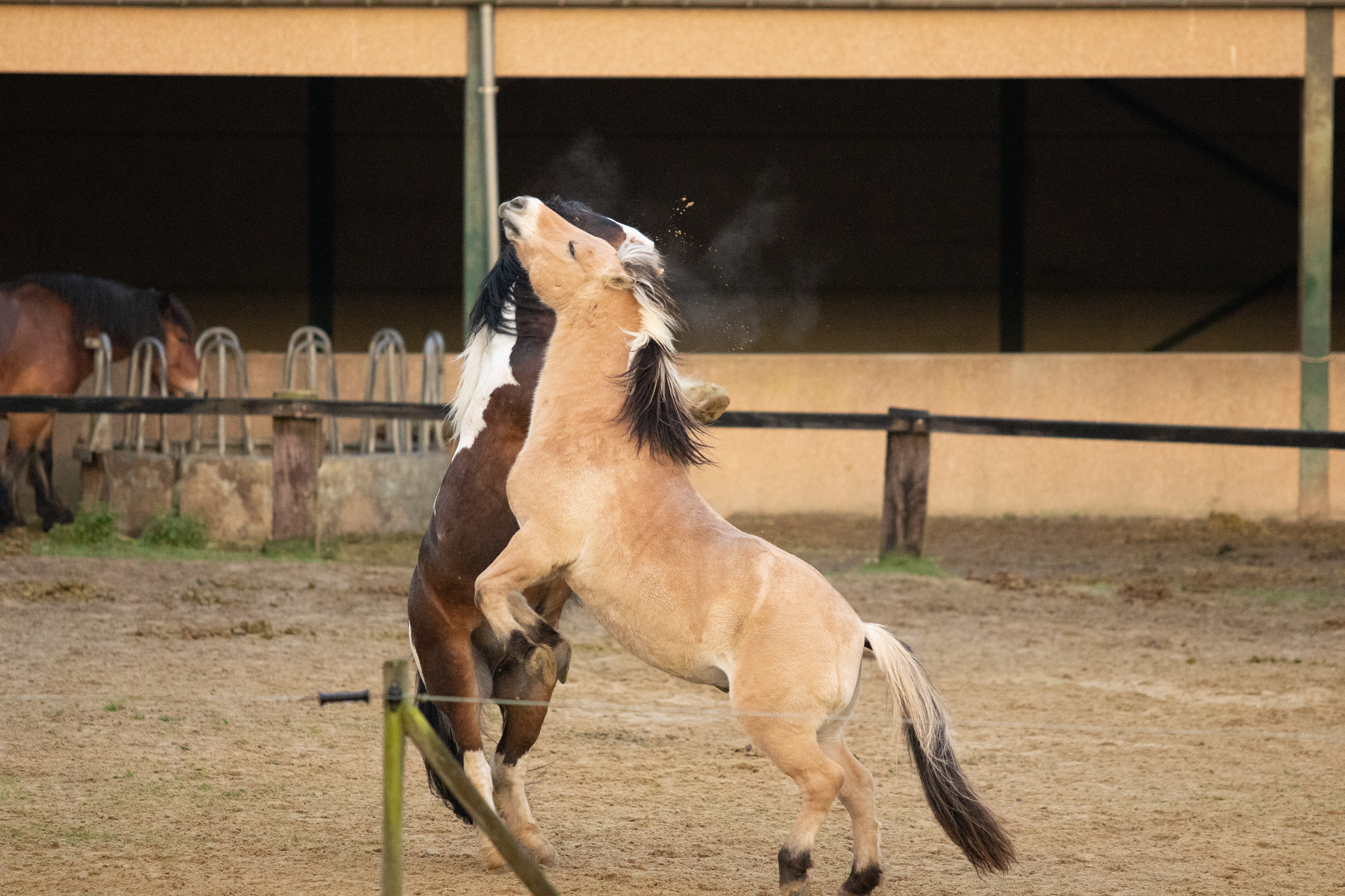Réalisation photographique 16